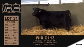 Lot #31 - WIX G113