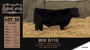 Lot #30 - WIX G110