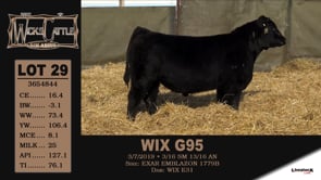 Lot #29 - WIX G95