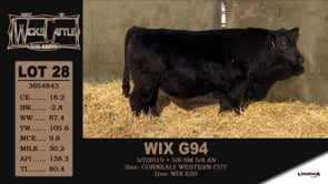 Lot #28 - WIX G94