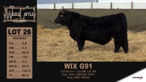 Lot #26 - WIX G91