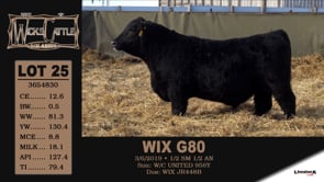Lot #25 - WIX G80