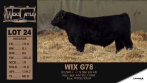 Lot #24 - WIX G78