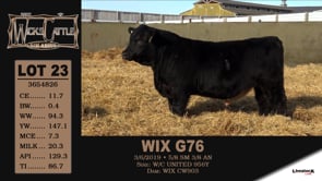 Lot #23 - WIX G76