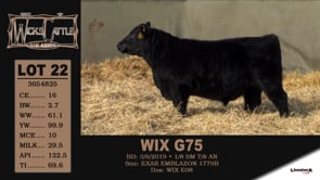 Lot #22 - WIX G75