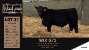 Lot #20 - WIX G34