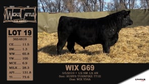 Lot #19 - WIX G69