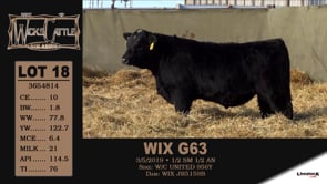 Lot #18 - WIX G63