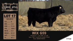 Lot #17 - WIX G59