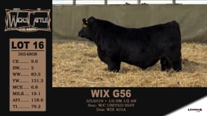 Lot #16 - WIX G56 - OUT