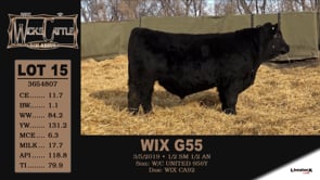 Lot #15 - WIX G55
