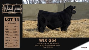 Lot #14 - WIX G54 - OUT