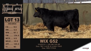 Lot #13 - WIX G52