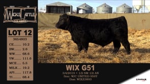 Lot #12 - WIX G51