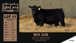 Lot #11 - WIX G48