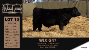 Lot #10 - WIX G47