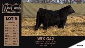 Lot #9 - WIX G42