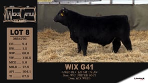 Lot #8 - WIX G41