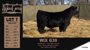 Lot #7 - WIX G39