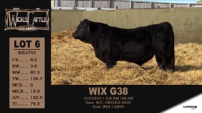 Lot #6 - WIX G38