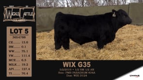 Lot #5 - WIX G35