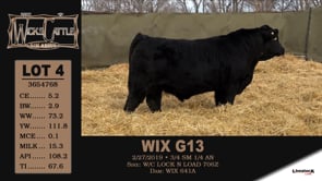 Lot #4 - WIX G13