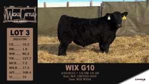 Lot #3 - WIX G10