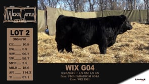 Lot #2 - WIX G04