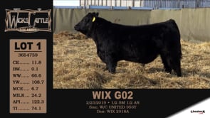 Lot #1 - WIX G02