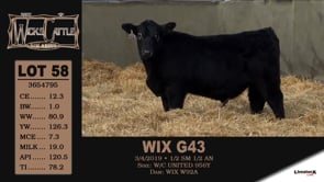 Lot #58 - WIX G43