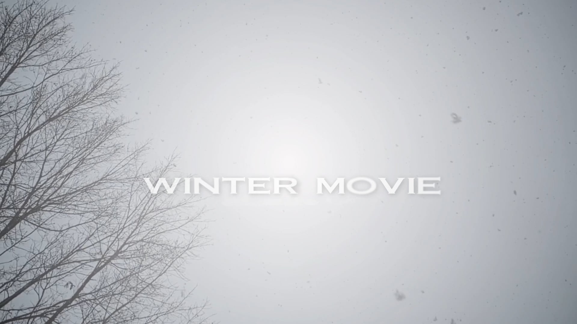 Winter Movie