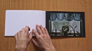 Related Embedded Video Item Thumbnail