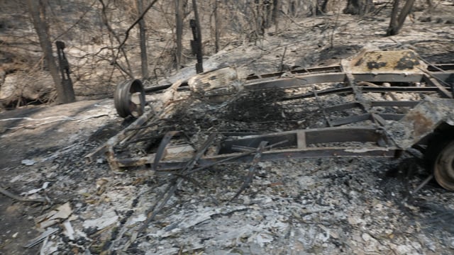 Australia Bushfires: Acts of heroism, stupidy & regret