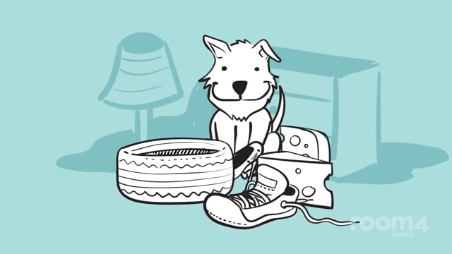 Spot Insurance Animated Advert