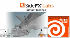 2 HOUDINI SideFX labs  Instant Meshes