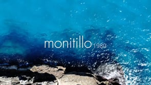Monitillo1980 Architects experience