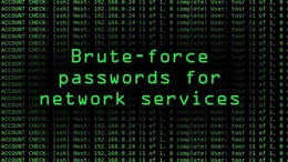 Compile user. BRUTEFORCE. Brute-Force атака. Гиф BRUTEFORCE. Что такое Brute Force? Информатика.