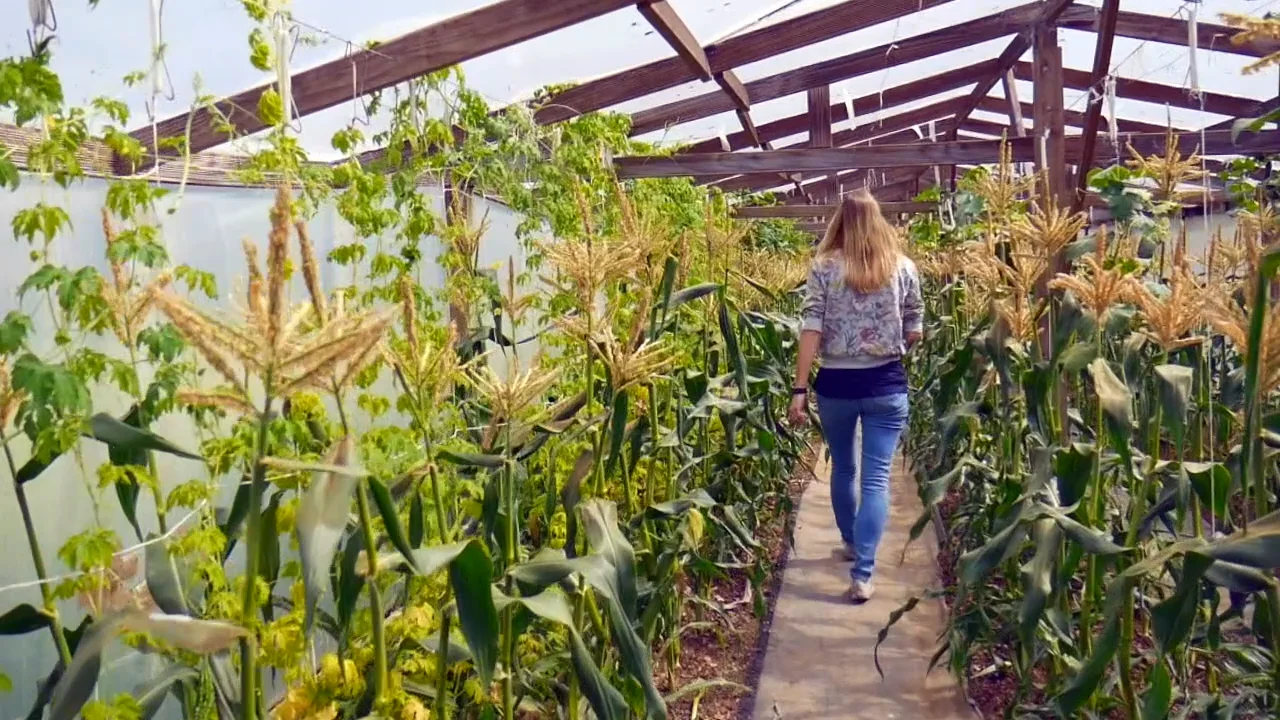 Woodford Gardens Waitakere Hospital Fasci Garden
