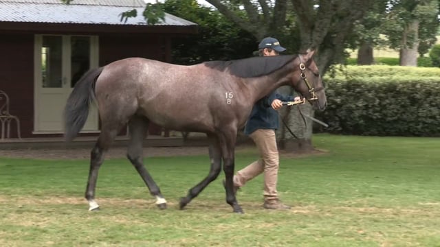 Lot 891