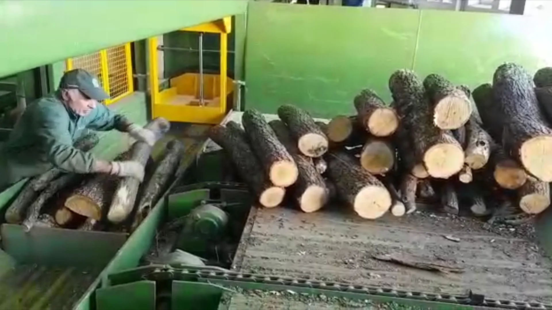 Special Pezzolato firewood processor with nr. 4 independent wood splitters  in Bulgaria (1 m logs) on Vimeo
