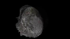 Videos about “kcdf” on Vimeo