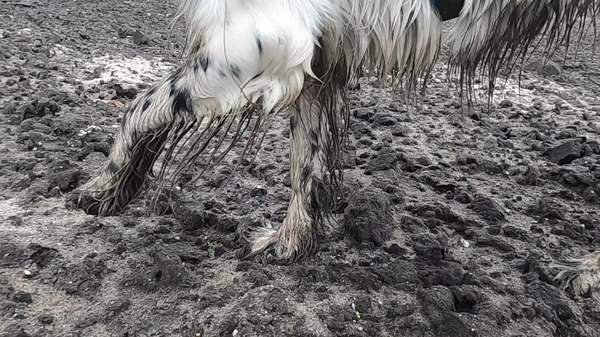 RUDY // HUNTING on Vimeo
