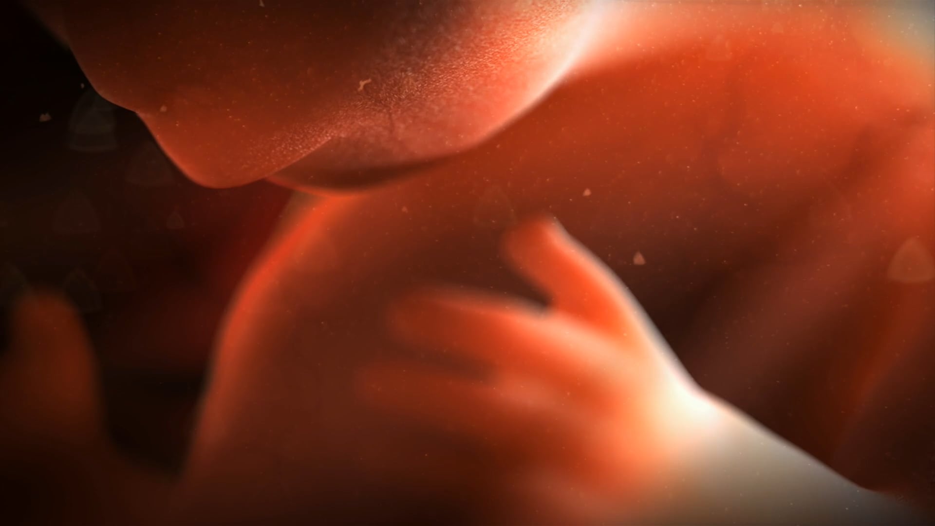 Bonei Olam Genetics Video