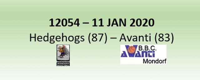 N2H 12054 Hedgehogs Bascharage (87) - Avanti Mondorf (83) 11/01/2020