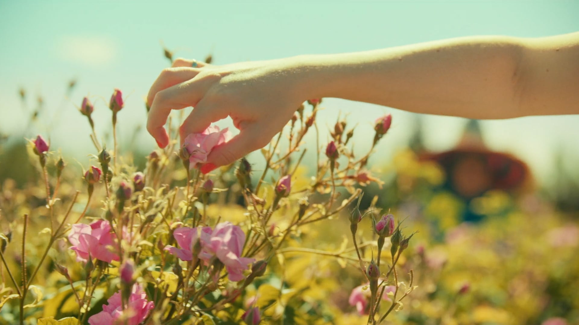 From Flower to Fragrance, Chanel