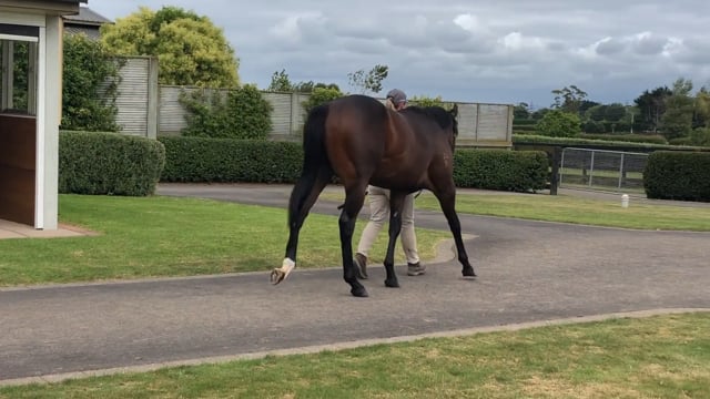 Lot 144