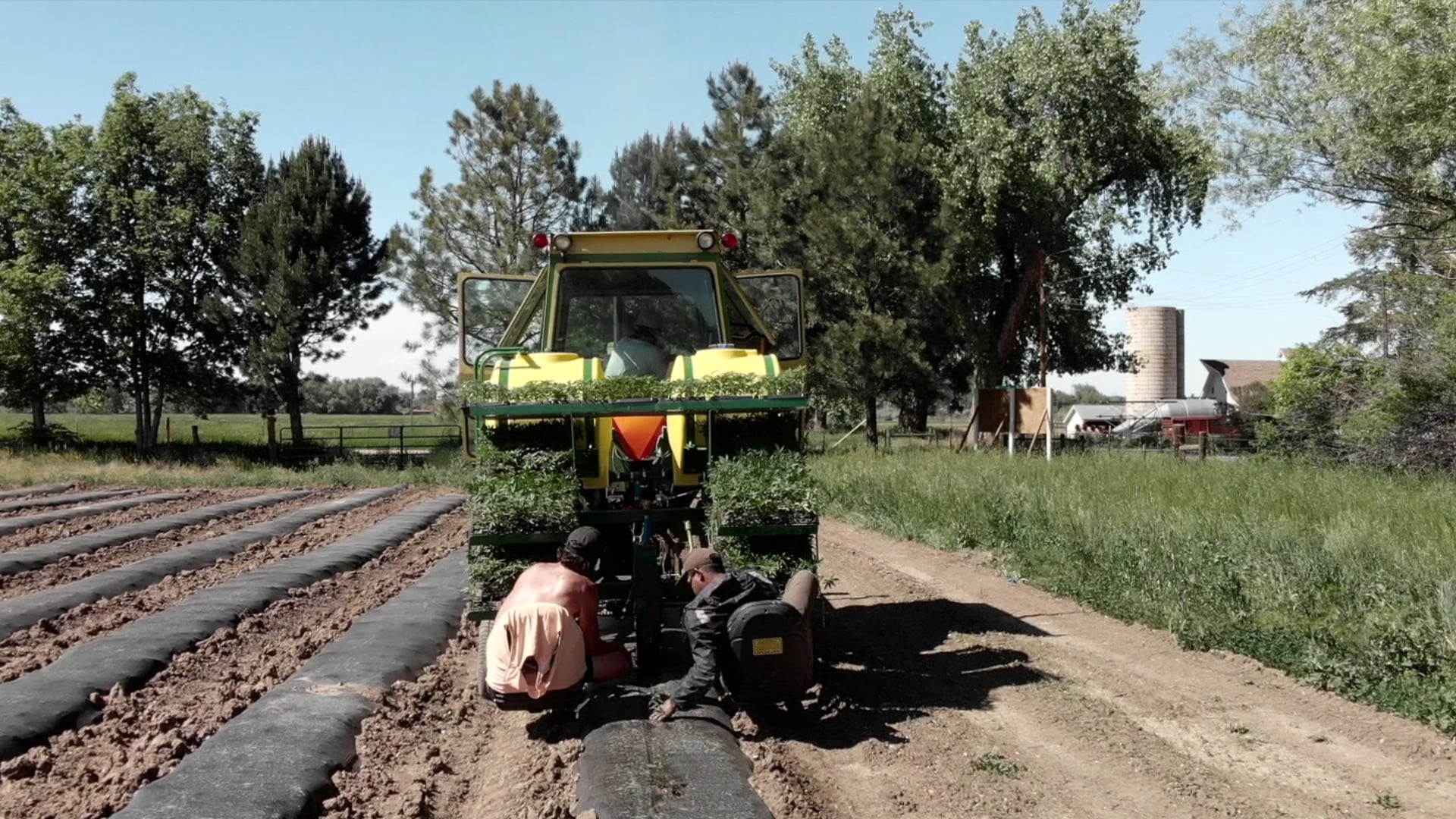 One Farm by WAAYB | June IG