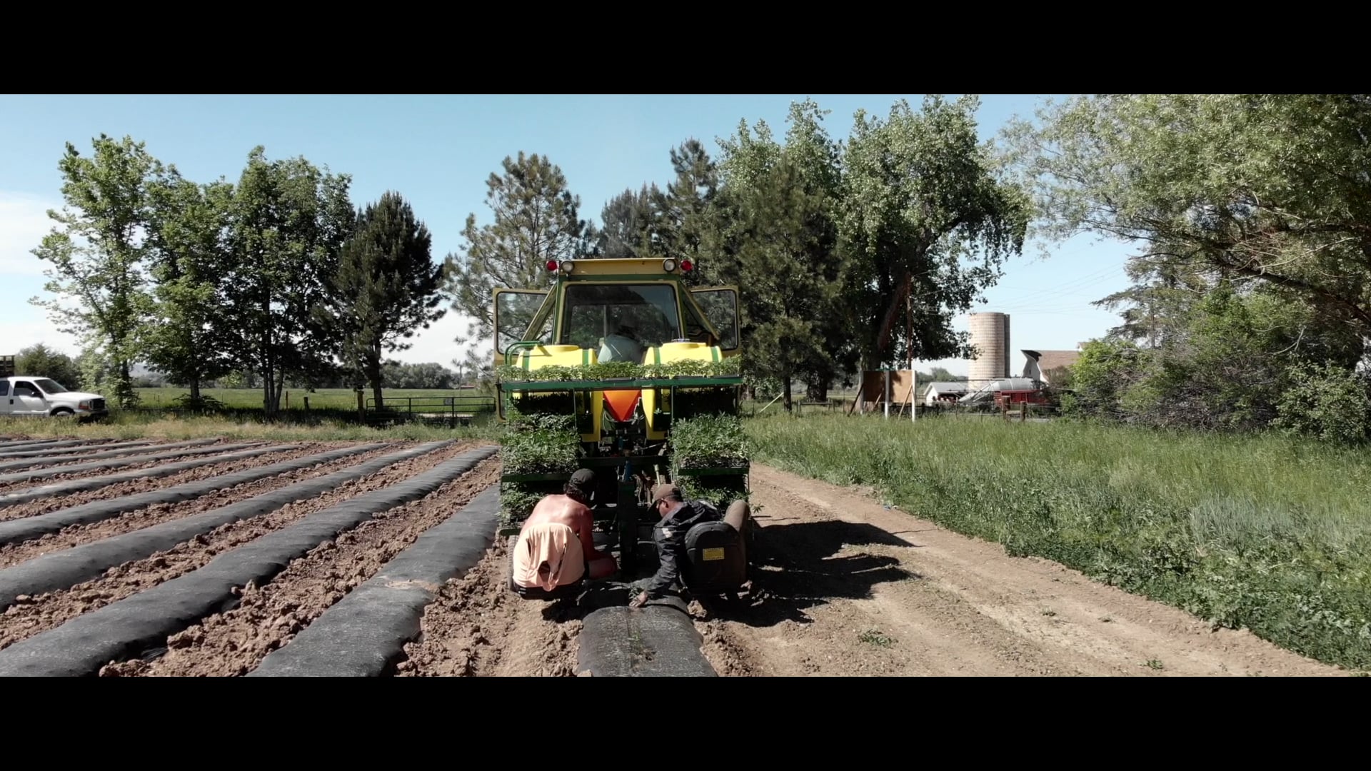 One Farm by WAAYB | June IG