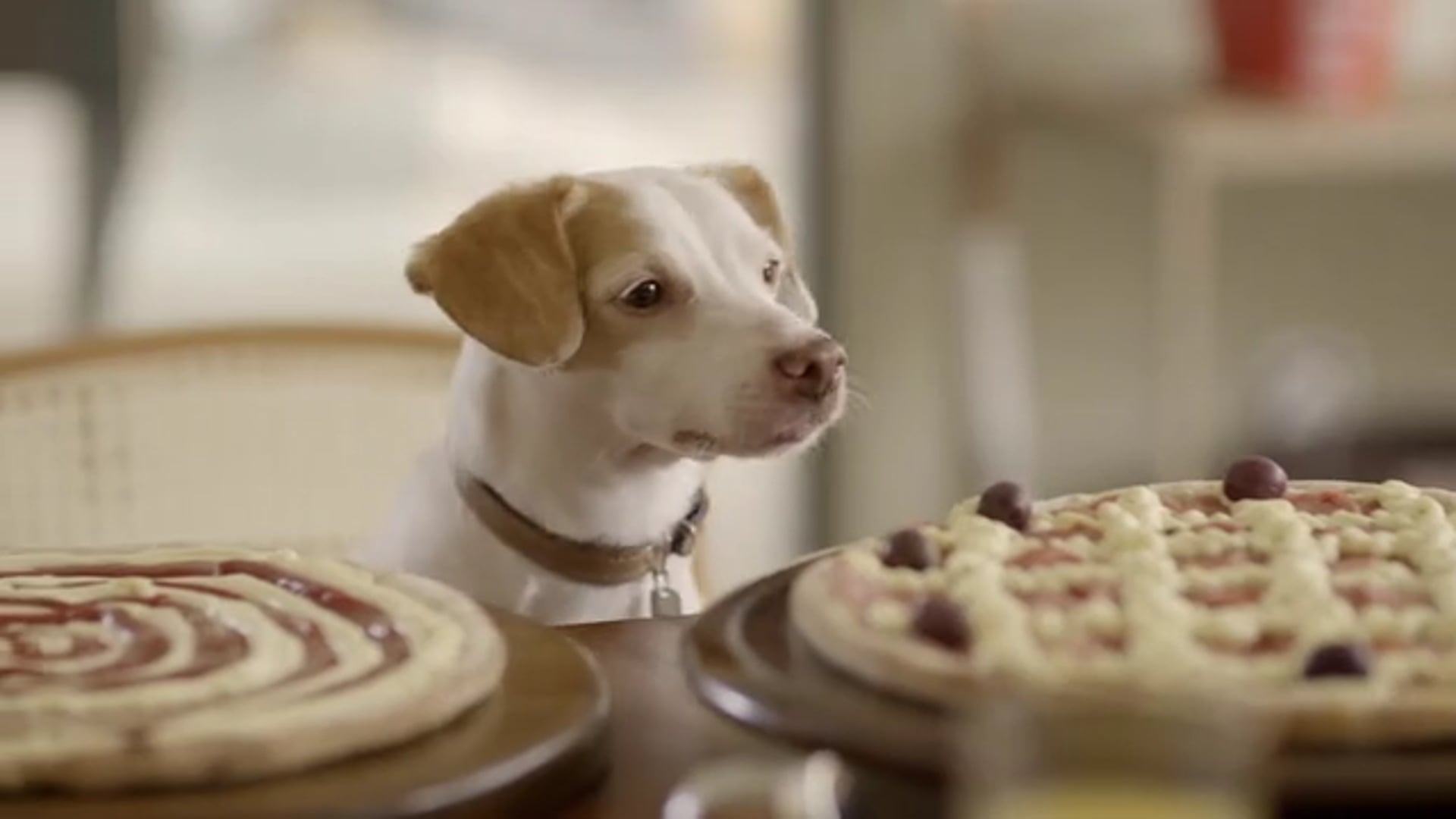 MOLECAGGIO PIZZAS | Terça em dobro