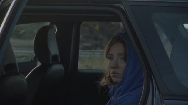 A thumbnail for the film 'Elegi over Avicii' by  benjamin loeb fnf